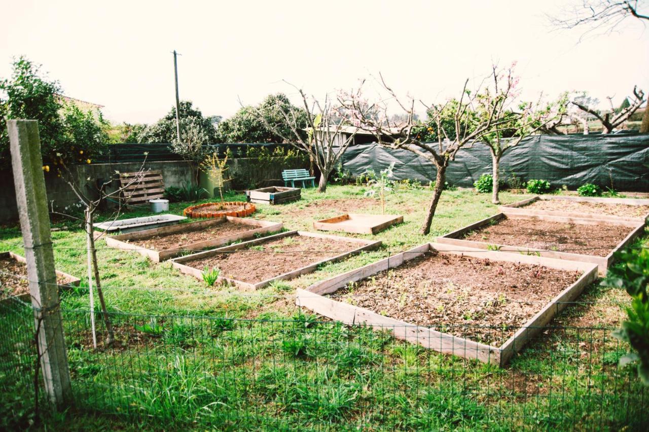 Villa Clementina Barcelos Exterior photo